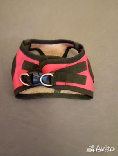 Шлейка для маленькой собаки