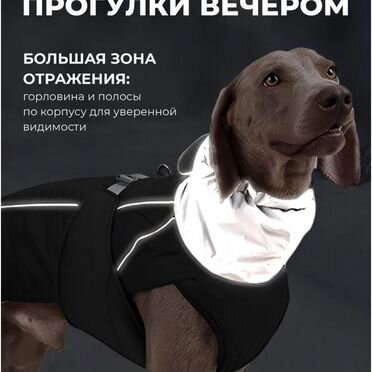 Жилетка для собак