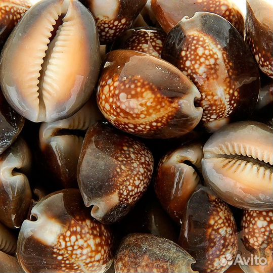 Ароматизатор ракушка (жидкий) Франция