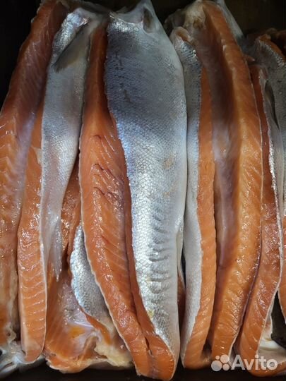 Теша рыбы форели / чавычи малосоленая цена за кг