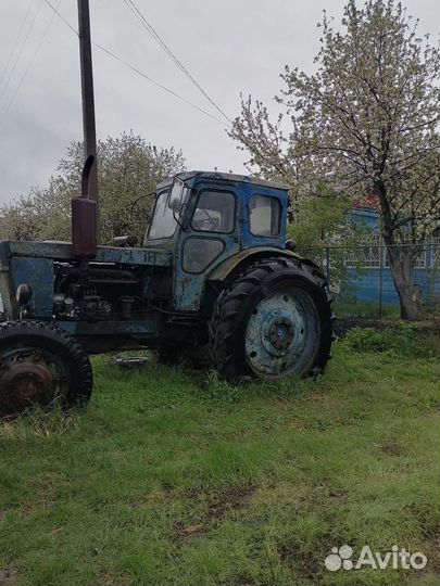 Трактор ЛТЗ Т-40АМ, 1981