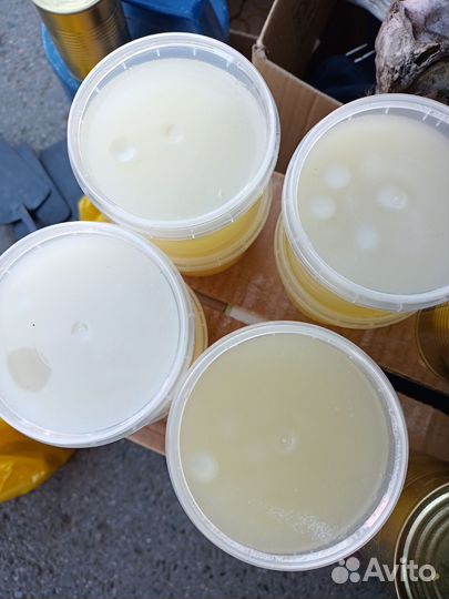 Барсучий жир