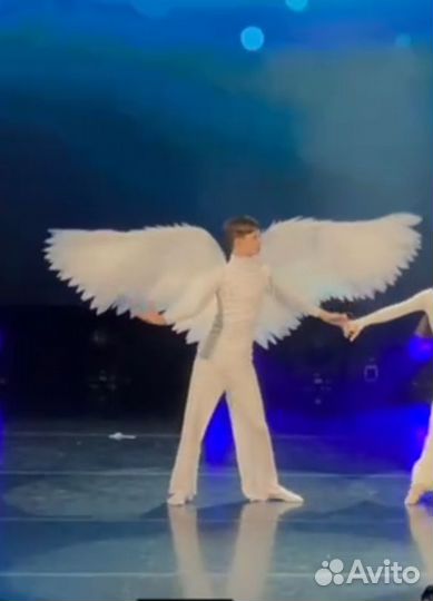 Крылья ангела большие