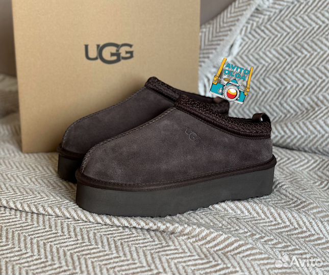 Ugg tazz tasman