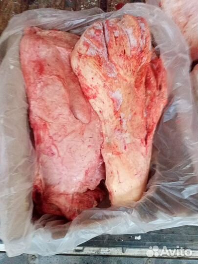 Мясо говядина для собак