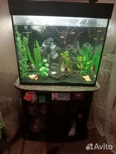 Продам аквариум