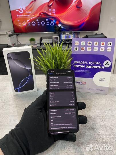 iPhone 16 Pro Max, 256 ГБ