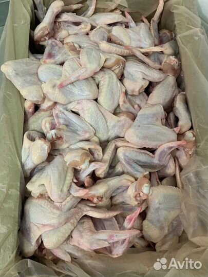 Корм для животных