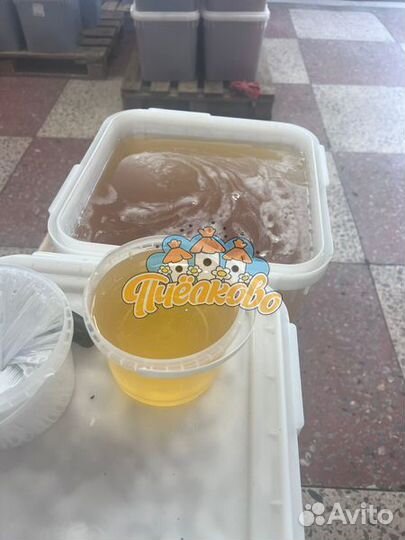 Мёд Белой Акации оптом 2023года