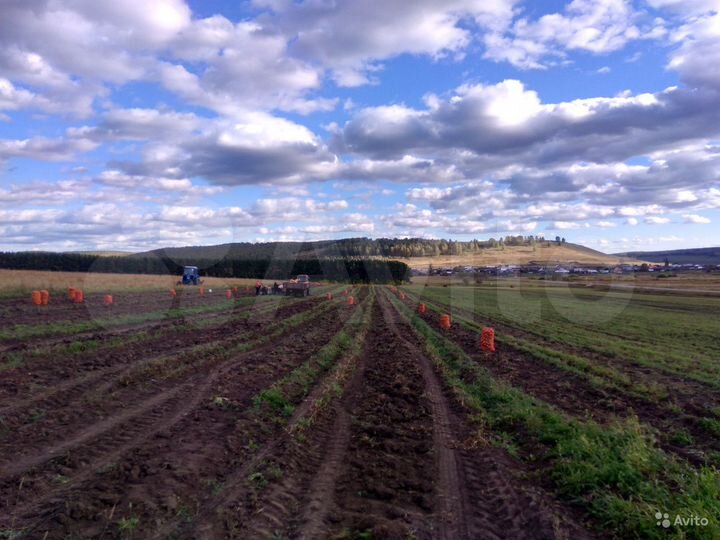 Участок 8,2 га (СНТ, ДНП)