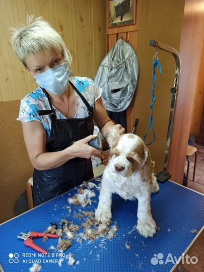 Стрижка собак и кошек с выездом и без