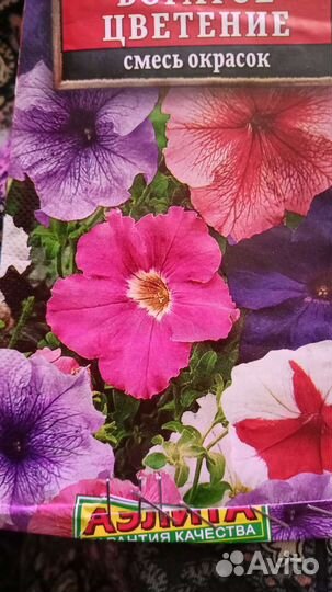 Продам рассаду