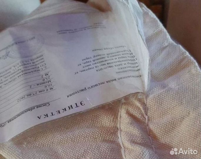 Семена / Лиственница сибирская