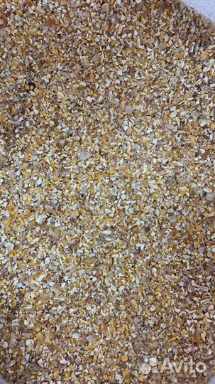 Кукуруза цельная и дробленая в мешках