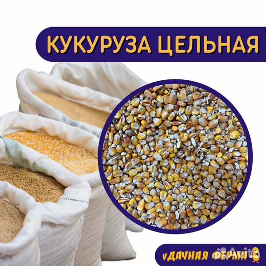 Кукуруза цельная (мешок 40 кг)
