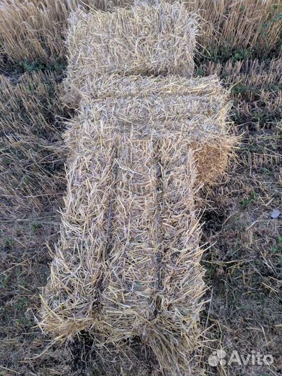 Солома ячменная в тюках