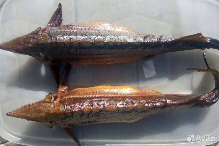 Горячее и холодное копчение. Делаем тушенку