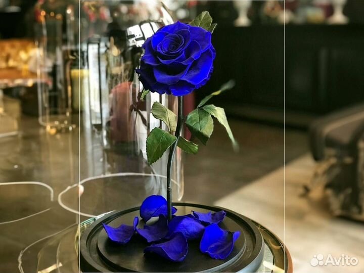 Роза в колбе Deluxe Синяя
