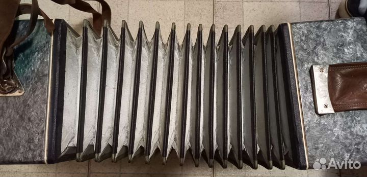 Баян Полтава