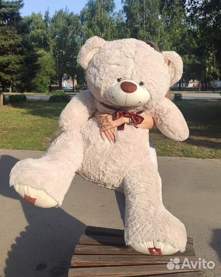 Мишка лучший подарок