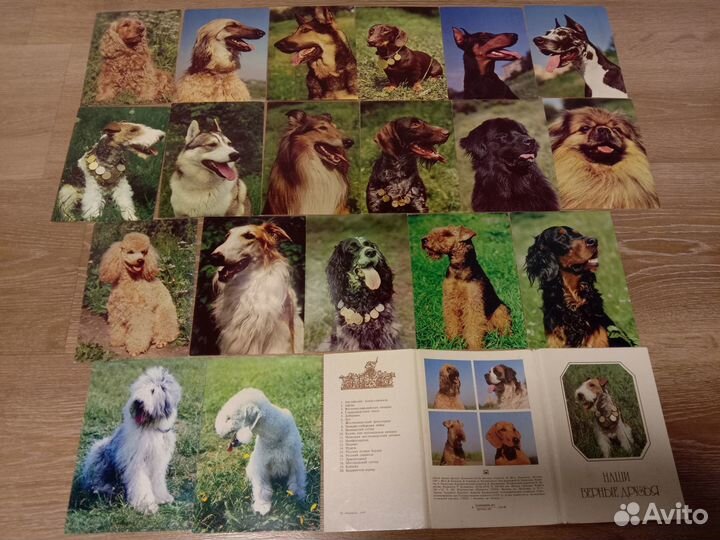 Открытки Советские (СССР)