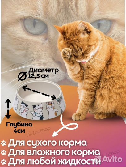 Миска для животных