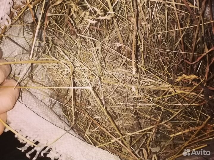 Сено луговое в мешках