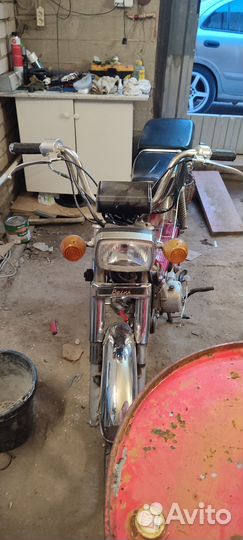 Белка 50кубов