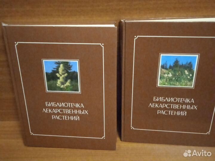 Лекарственные растения, Зимин