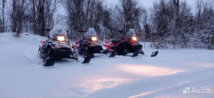 Прокат саней, снегоходов для начинающих, отдых