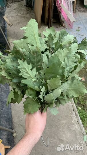 Банные веники, дубовые веники для бани