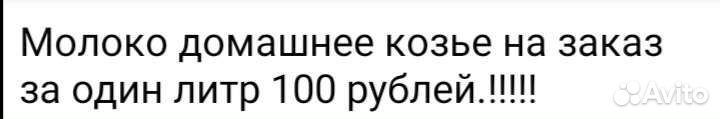 Балетки