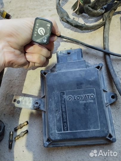 Гбо Lovato 4 поколения