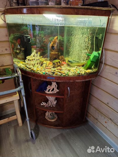 Аквариум с тумбой 250 л б/у