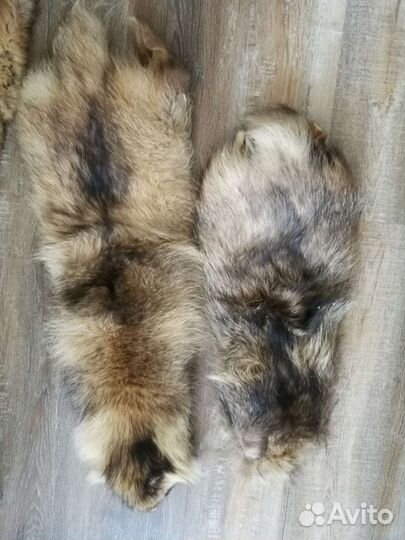 Шкурки пушных зверей