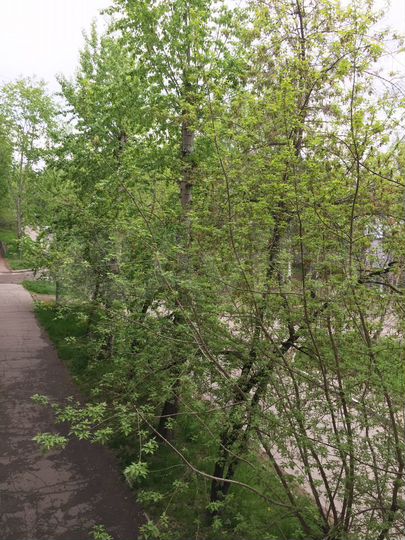 2-к. квартира, 46,1 м², 3/5 эт.