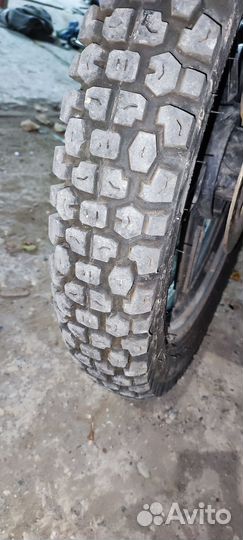 Racer 250