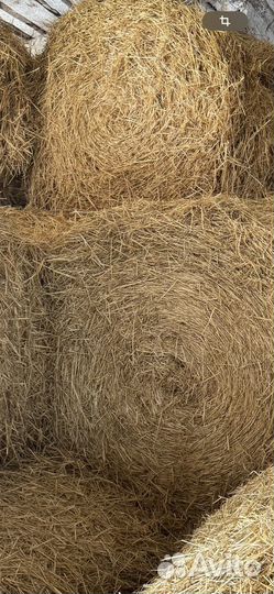 Солома ячменная в рулонах