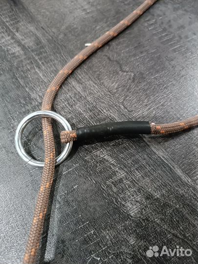 Ошейник удавка для собак