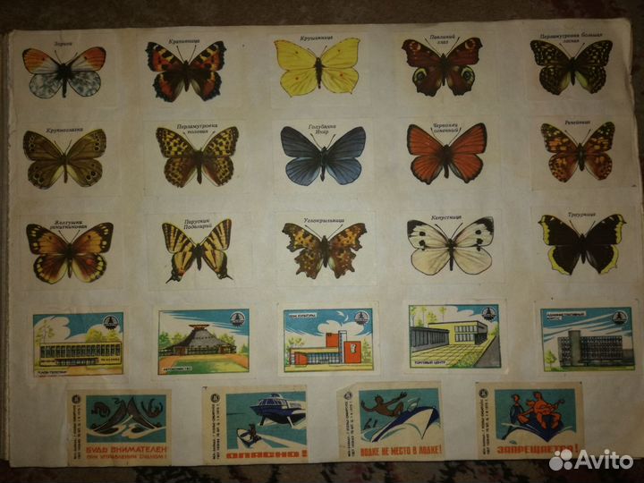 Коллекция этикеток от спичечных коробков СССР