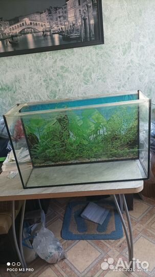Аквариум