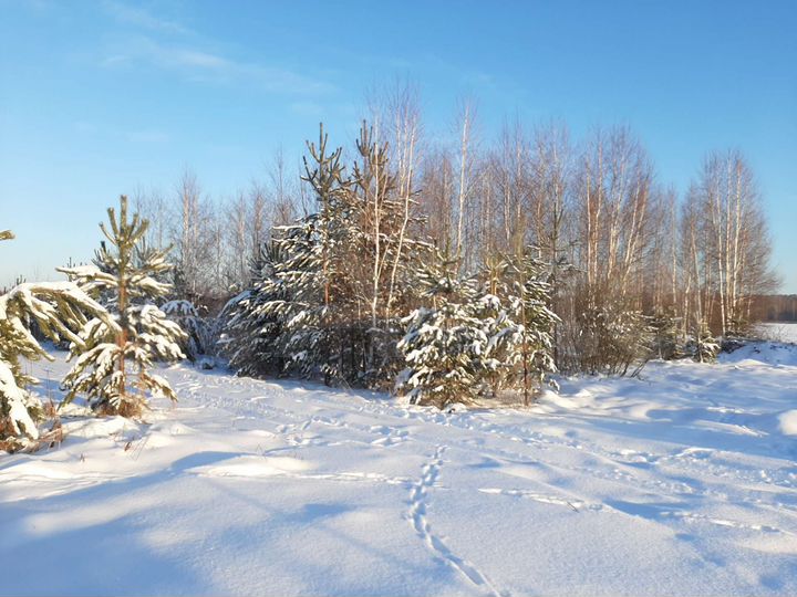 Участок 10 сот. (ИЖС)