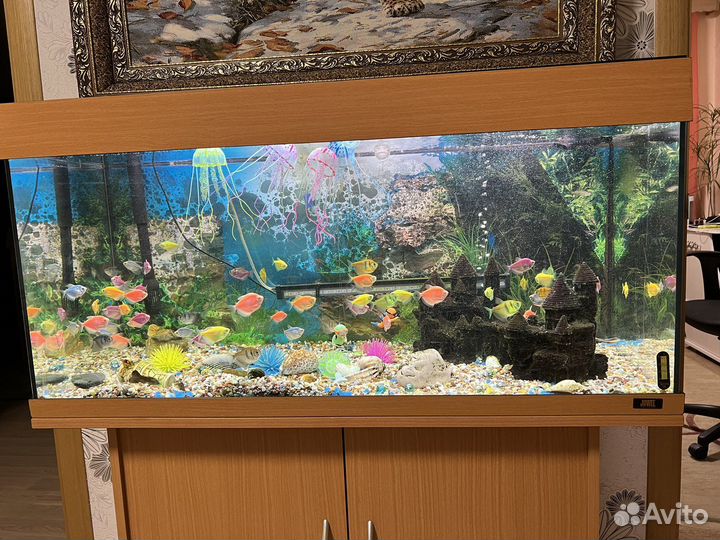 Аквариум с рыбками