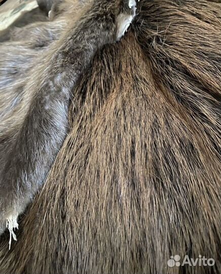 Шкура мех выделка Бобра Енота