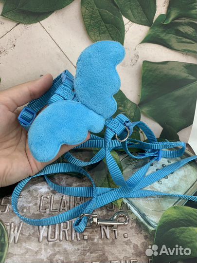 Шлейка для котенка