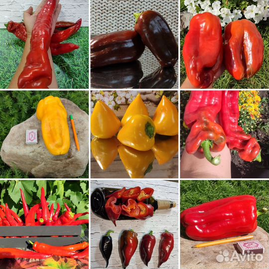 Семена коллекционных перцев