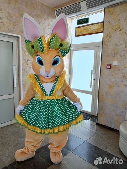 Ростовая кукла Зайка экспресс поздравление