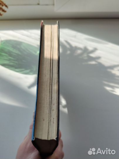 Книга Охотник на вампиров