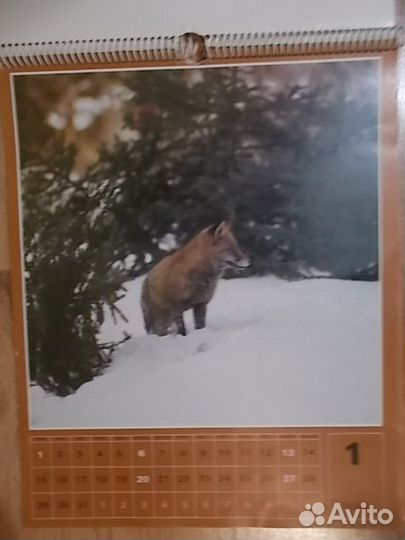 Календари настенные Ленинград 1991, Животные 1985