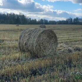 Солома в рулонах